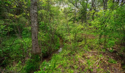 Photo #6 of Tin Top Place, Appomattox, VA 20.1 acres