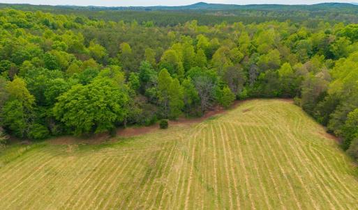 Photo #13 of Tin Top Place, Appomattox, VA 20.1 acres