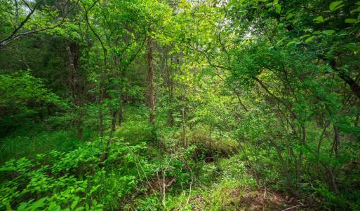 Photo #7 of Tin Top Place, Appomattox, VA 20.1 acres