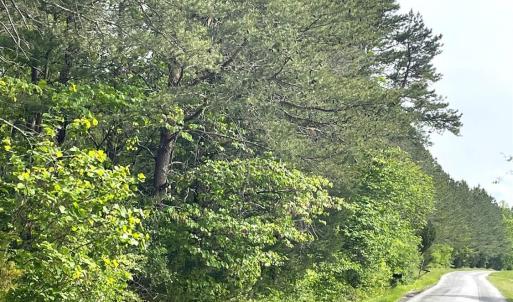 Photo #12 of Three Creeks Road, Gladys, VA 104.0 acres