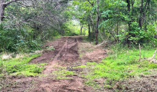 Photo #7 of Three Creeks Road, Gladys, VA 104.0 acres