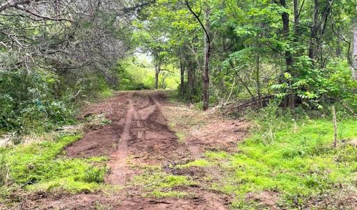 Photo #18 of Three Creeks Road, Gladys, VA 104.0 acres