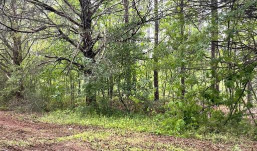 Photo #5 of Three Creeks Road, Gladys, VA 104.0 acres