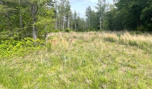 Photo #3 of Three Creeks Road, Gladys, VA 104.0 acres