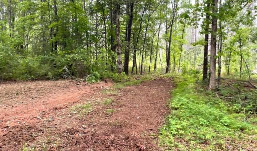 Photo #8 of Three Creeks Road, Gladys, VA 104.0 acres
