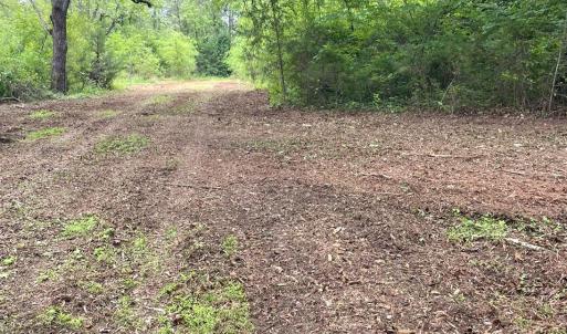 Photo #10 of Three Creeks Road, Gladys, VA 104.0 acres