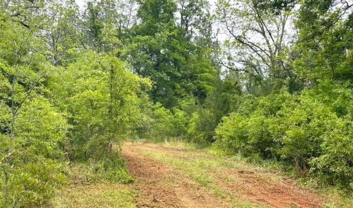 Photo #16 of Three Creeks Road, Gladys, VA 104.0 acres