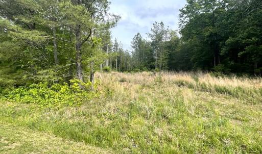 Photo #4 of Three Creeks Road, Gladys, VA 104.0 acres