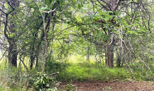 Photo #13 of Three Creeks Road, Gladys, VA 104.0 acres
