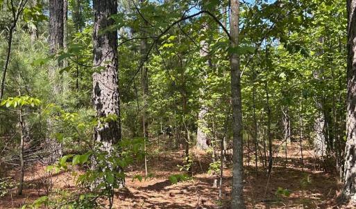 Photo #4 of 2 Foxfire Lane, Bedford, VA 14.6 acres