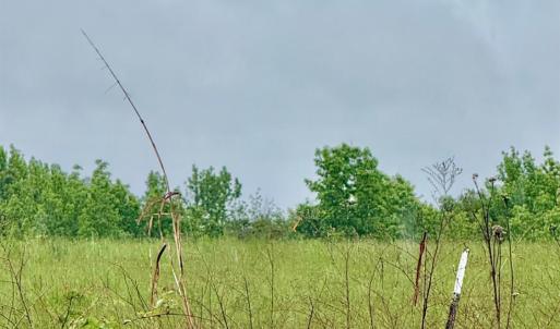 Photo #4 of Red House Road, Phenix, VA 70.5 acres