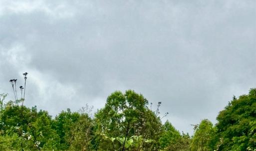 Photo #3 of Red House Road, Phenix, VA 70.5 acres