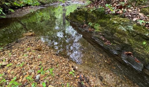 Photo #7 of James River Road, Appomattox, VA 149.5 acres