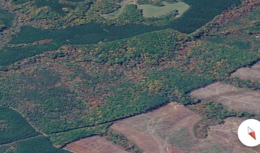 Photo #11 of James River Road, Appomattox, VA 149.5 acres