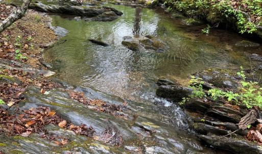 Photo #8 of James River Road, Appomattox, VA 149.5 acres