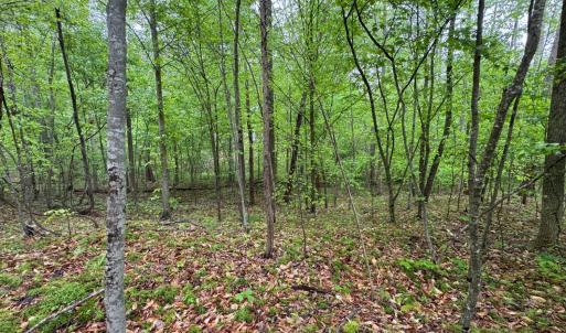 Photo #2 of James River Road, Appomattox, VA 149.5 acres