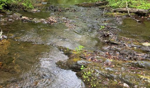 Photo #5 of James River Road, Appomattox, VA 149.5 acres