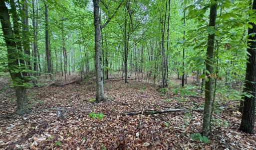 Photo #6 of James River Road, Appomattox, VA 149.5 acres