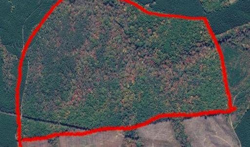 Photo #12 of James River Road, Appomattox, VA 149.5 acres