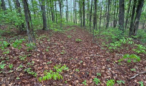 Photo #4 of James River Road, Appomattox, VA 149.5 acres