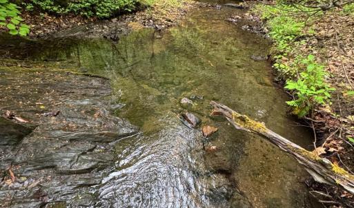 Photo #1 of James River Road, Appomattox, VA 149.5 acres