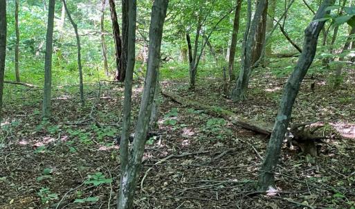 Photo #7 of 53 Sandy Court, Gretna, VA 1.3 acres
