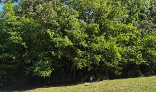 Photo #6 of 53 Sandy Court, Gretna, VA 1.3 acres