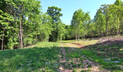Photo #10 of Tower Hill Road, Appomattox, VA 16.1 acres