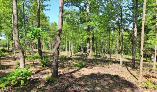 Photo #4 of Tower Hill Road, Appomattox, VA 16.1 acres