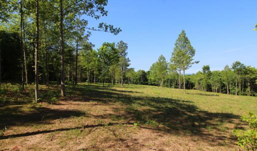 Photo #2 of Tower Hill Road, Appomattox, VA 16.1 acres