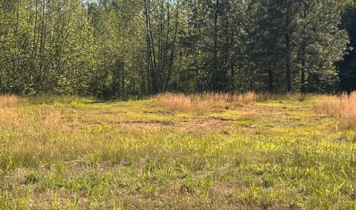 Photo #6 of 400 Richmond Hwy, Amherst, VA 7.9 acres