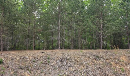 Photo #5 of Lot 146 Noah's Knoll, Pittsville, VA 1.2 acres