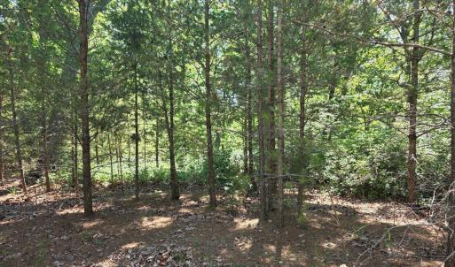 Photo #2 of Lot 146 Noah's Knoll, Pittsville, VA 1.2 acres