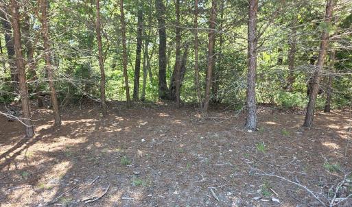 Photo #4 of Lot 146 Noah's Knoll, Pittsville, VA 1.2 acres