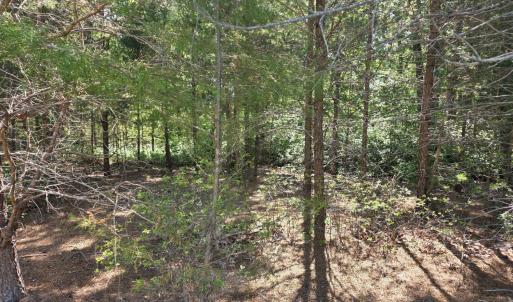 Photo #3 of Lot 146 Noah's Knoll, Pittsville, VA 1.2 acres
