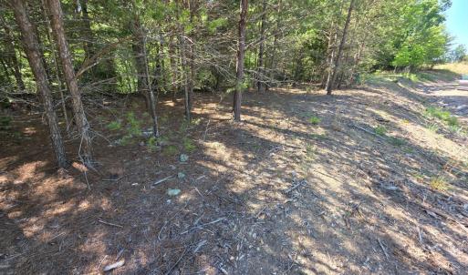 Photo #6 of Lot 146 Noah's Knoll, Pittsville, VA 1.2 acres