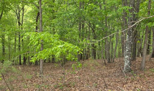 Photo #3 of Lot 25 Garrison Ridge, Pittsville, VA 1.3 acres