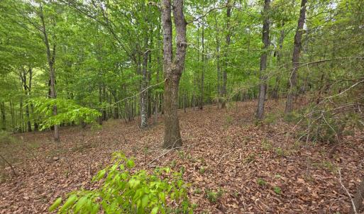 Photo #2 of Lot 25 Garrison Ridge, Pittsville, VA 1.3 acres