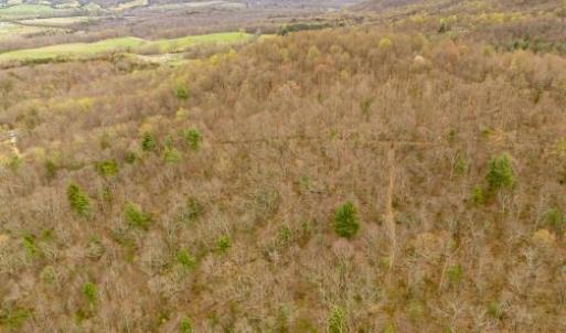 Photo #1 of Adventure Mountain, Montvale, VA 343.0 acres