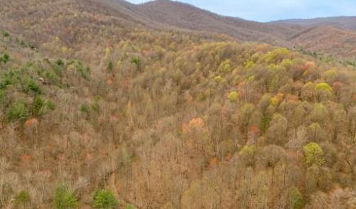 Photo #3 of Adventure Mountain, Montvale, VA 343.0 acres
