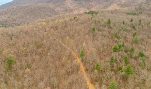 Photo #2 of Adventure Mountain, Montvale, VA 343.0 acres
