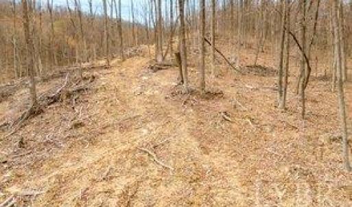 Photo #9 of Adventure Mountain, Montvale, VA 343.0 acres