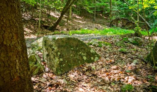 Photo #44 of Adventure Mountain, Montvale, VA 343.0 acres