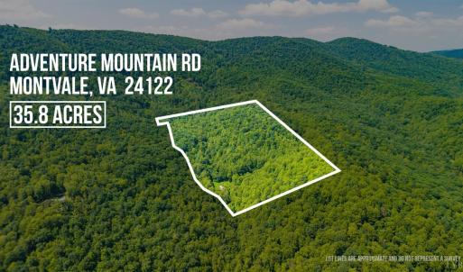 Photo #7 of Adventure Mountain, Montvale, VA 343.0 acres