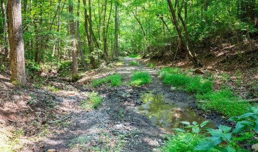 Photo #41 of Adventure Mountain, Montvale, VA 343.0 acres