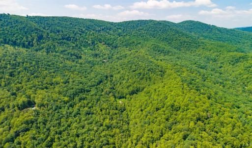 Photo #31 of Adventure Mountain, Montvale, VA 343.0 acres