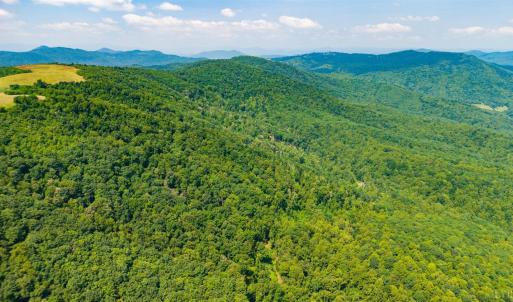 Photo #34 of Adventure Mountain, Montvale, VA 343.0 acres