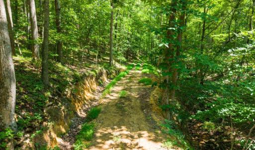 Photo #12 of Adventure Mountain, Montvale, VA 343.0 acres