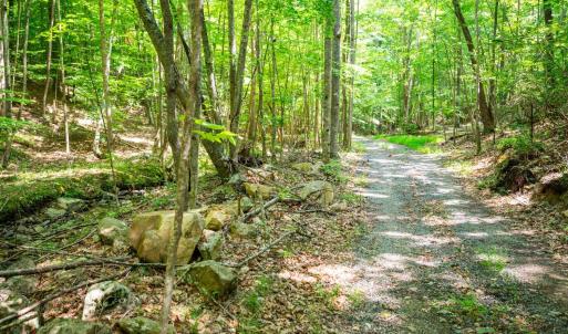 Photo #45 of Adventure Mountain, Montvale, VA 343.0 acres