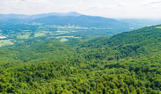 Photo #17 of Adventure Mountain, Montvale, VA 343.0 acres